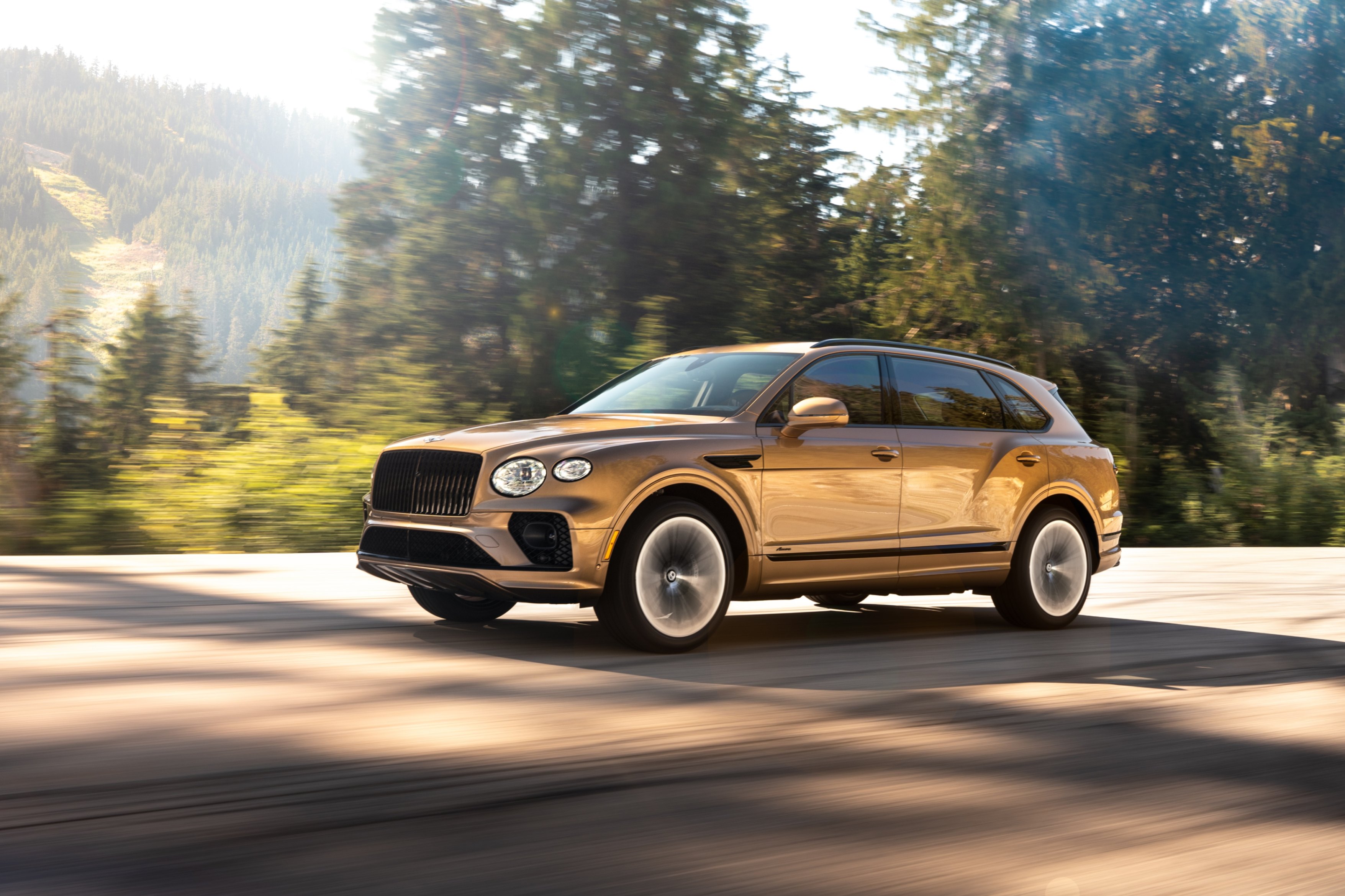 bentayga ewb extroverted camel