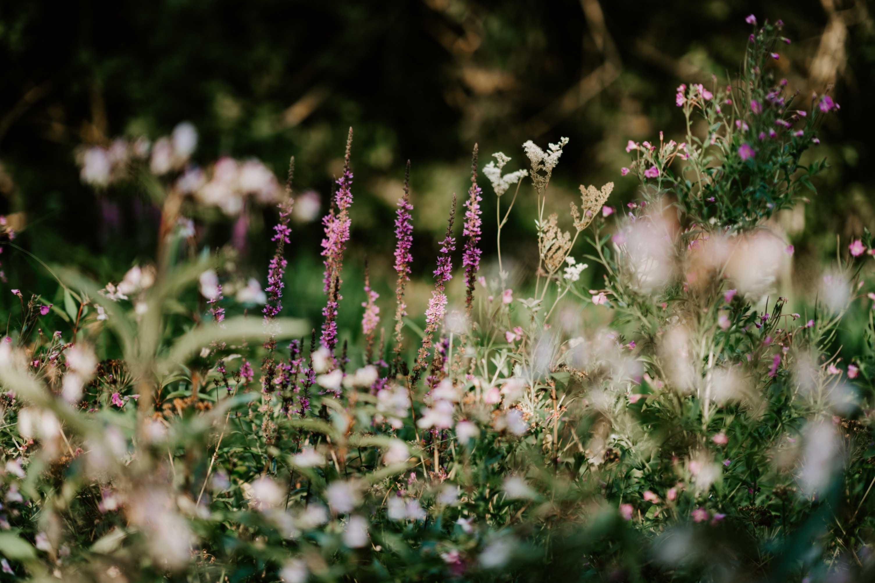 annie spratt iqtki qki unsplash