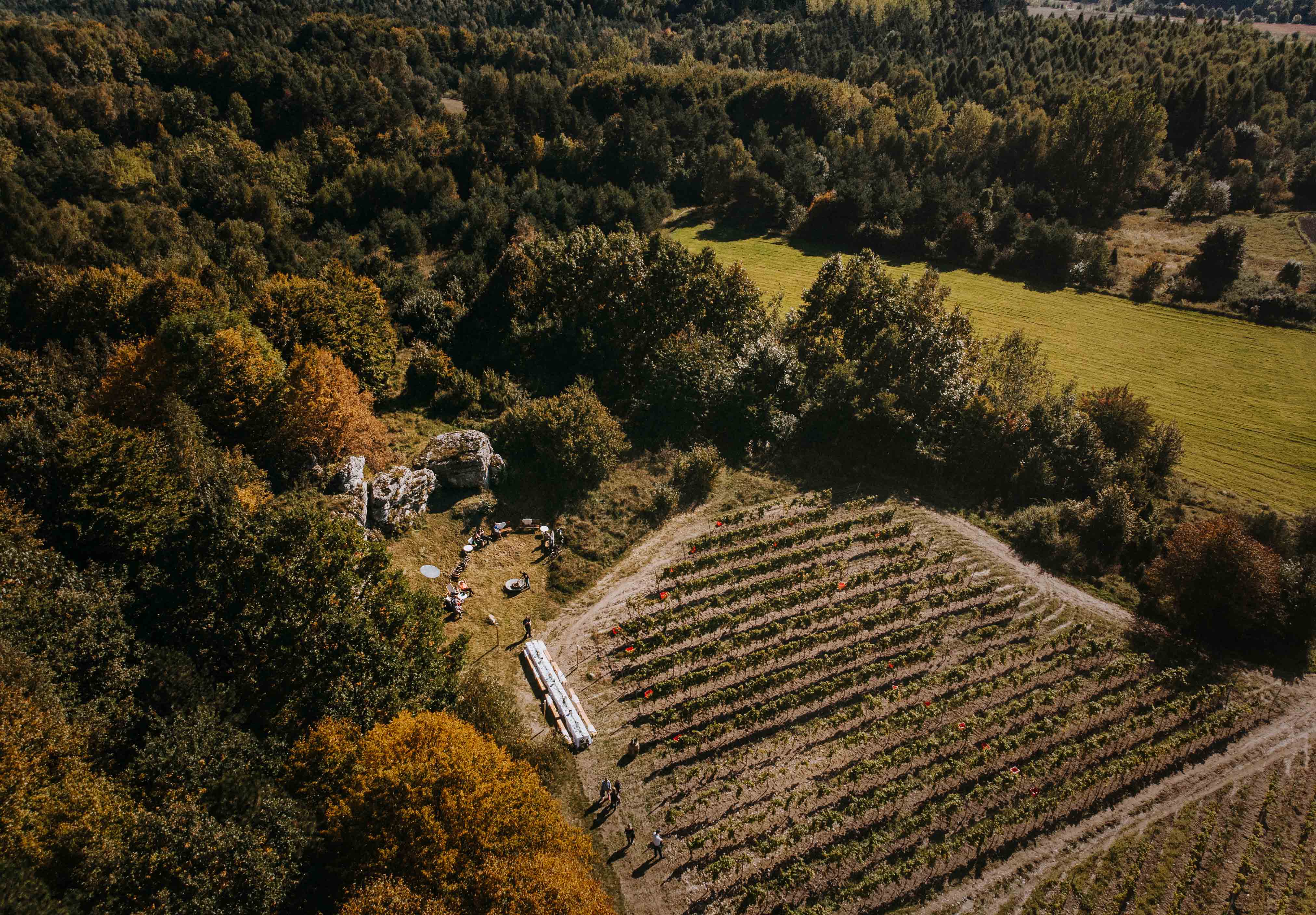 winnica widok z lotu ptaka poziom